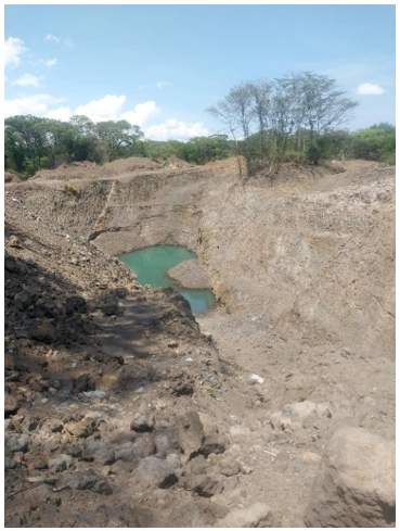 Survey image 2